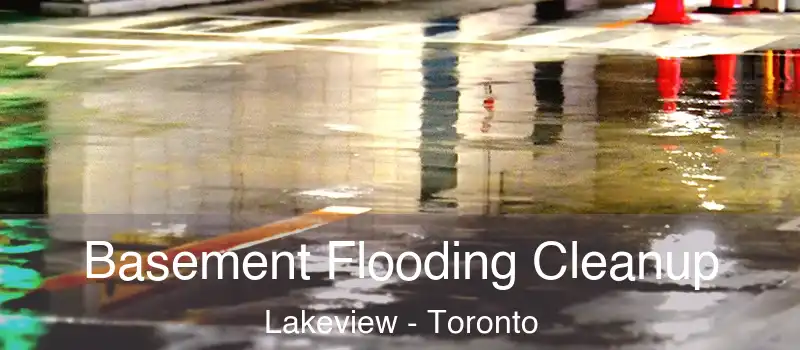 Basement Flooding Cleanup Lakeview - Toronto