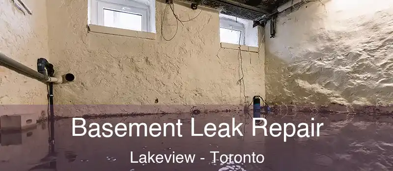 Basement Leak Repair Lakeview - Toronto
