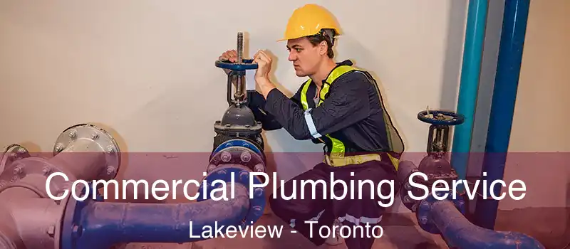 Commercial Plumbing Service Lakeview - Toronto