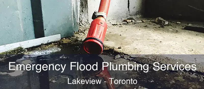 Emergency Flood Plumbing Services Lakeview - Toronto