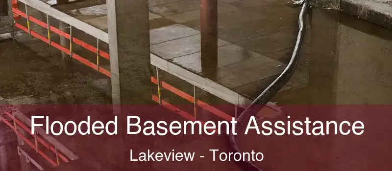 Flooded Basement Assistance Lakeview - Toronto
