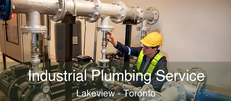  Industrial Plumbing Service Lakeview - Toronto