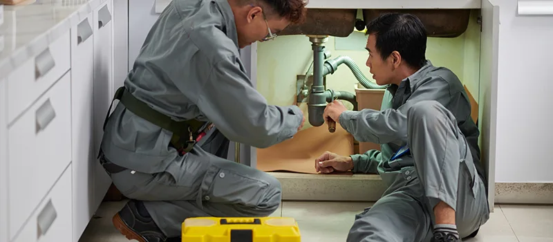 Commercial Bonded and Insured Plumber Services in Lakeview, Toronto