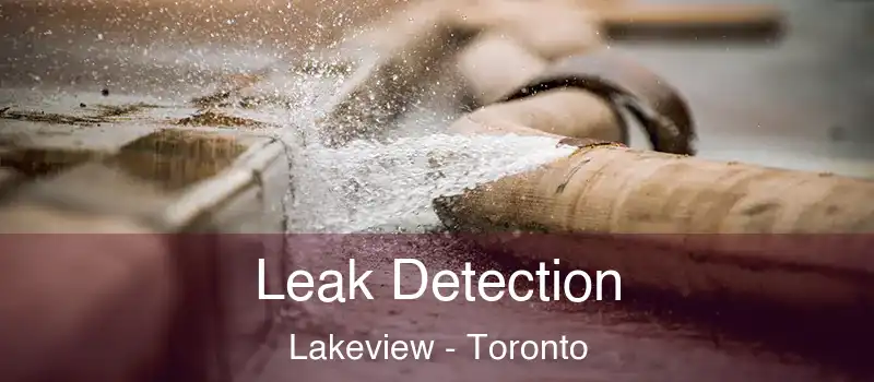  Leak Detection Lakeview - Toronto