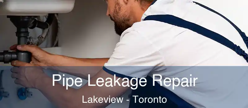 Pipe Leakage Repair Lakeview - Toronto