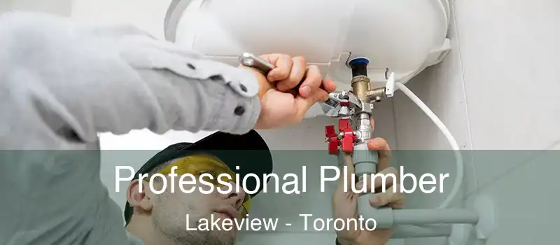 Professional Plumber Lakeview - Toronto