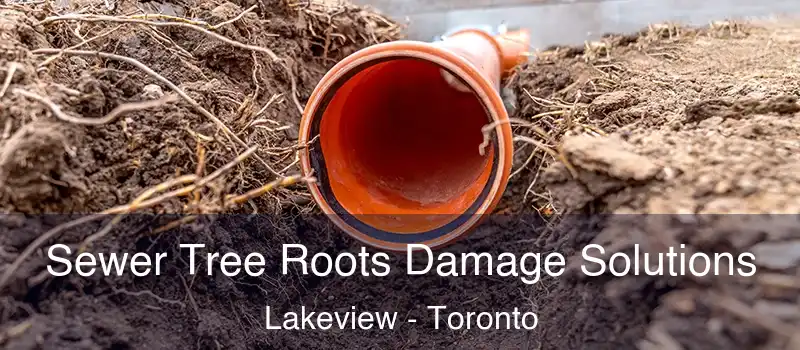 Sewer Tree Roots Damage Solutions Lakeview - Toronto
