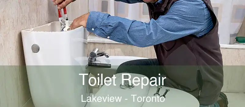 Toilet Repair Lakeview - Toronto