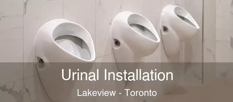  Urinal Installation Lakeview - Toronto