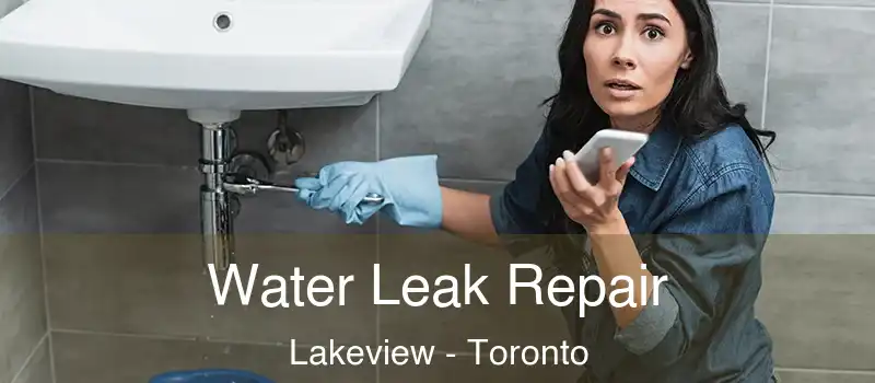  Water Leak Repair Lakeview - Toronto