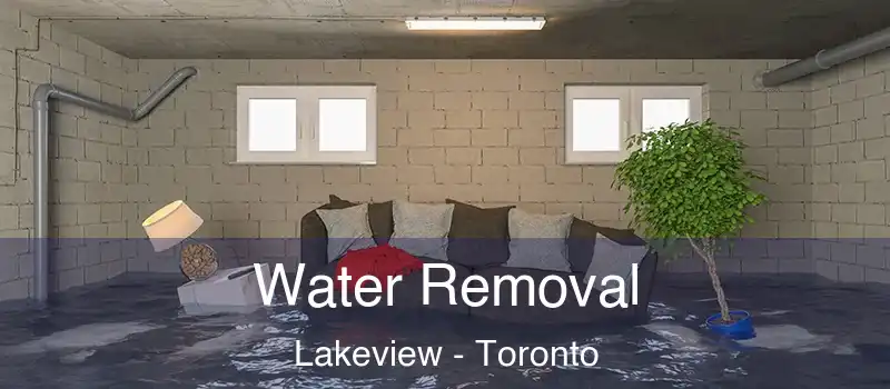 Water Removal Lakeview - Toronto